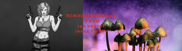 каннабис Белокуриха