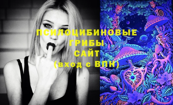 каннабис Белокуриха