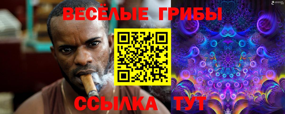 Псилоцибиновые грибы Magic Shrooms Сланцы